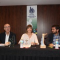 Castellón, 2016