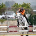 Torneo Social Open en el club hípico Paddocks de Azahar de Castellón