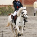 Torneo Social Open en el club hípico Paddocks de Azahar de Castellón