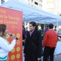 Fira de la taronja de Castelló