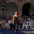XVIII edición de la pasarela Moda en la Calle 2010