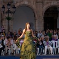 XVIII edición de la pasarela Moda en la Calle 2010