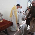 Fiesta de San Antonio Abad