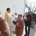 Fiesta de San Antonio Abad