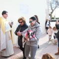 Fiesta de San Antonio Abad