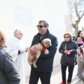Fiesta de San Antonio Abad