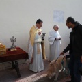 Fiesta de San Antonio Abad