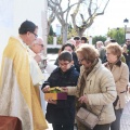 Fiesta de San Antonio Abad