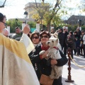 Fiesta de San Antonio Abad