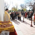 Fiesta de San Antonio Abad