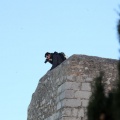 Castillo de Peñíscola
