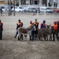 Playa de Oropesa