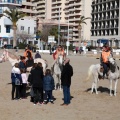 Playa de Oropesa