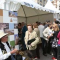 II Feria Mancomunidad Espadán Mijares en Castellón