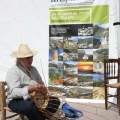 II Feria Mancomunidad Espadán Mijares en Castellón