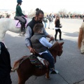 Festividad San Antonio