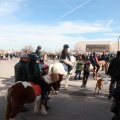 Festividad San Antonio