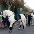 Festividad San Antonio