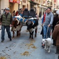 Festividad San Antonio