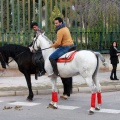 Festividad San Antonio