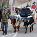 Festividad San Antonio