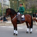 Festividad San Antonio