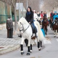 Festividad San Antonio