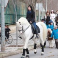 Festividad San Antonio