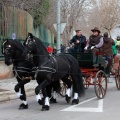 Festividad San Antonio