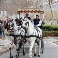 Festividad San Antonio