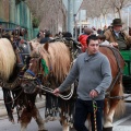 Festividad San Antonio