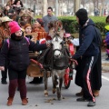 Festividad San Antonio