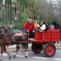 Festividad San Antonio