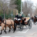 Festividad San Antonio