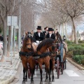 Festividad San Antonio