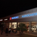 Castellón, Agrocastalia