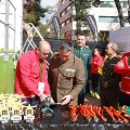 VII Marató BP Castelló