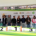 VII Marató BP Castelló