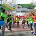 VII Marató BP Castelló