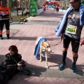 VII Marató BP Castelló