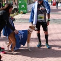 VII Marató BP Castelló