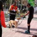 VII Marató BP Castelló