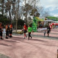 VII Marató BP Castelló