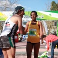 VII Marató BP Castelló