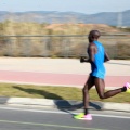 VII Marató BP Castelló