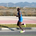 VII Marató BP Castelló