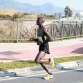 VII Marató BP Castelló