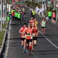 VII Marató BP Castelló