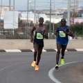 VII Marató BP Castelló