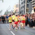 VII Marató BP Castelló